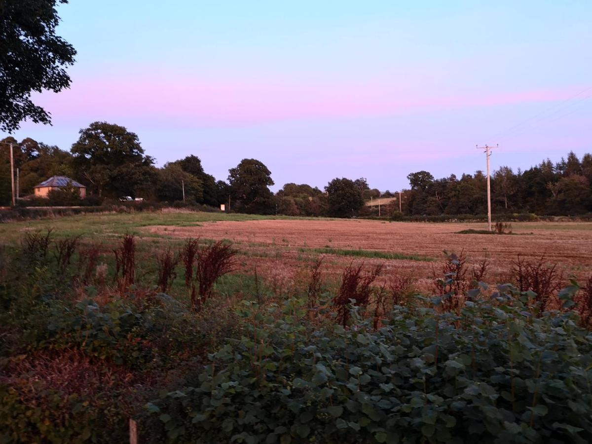 兰德林多德威尔斯Cosy Rural Retreat别墅 外观 照片